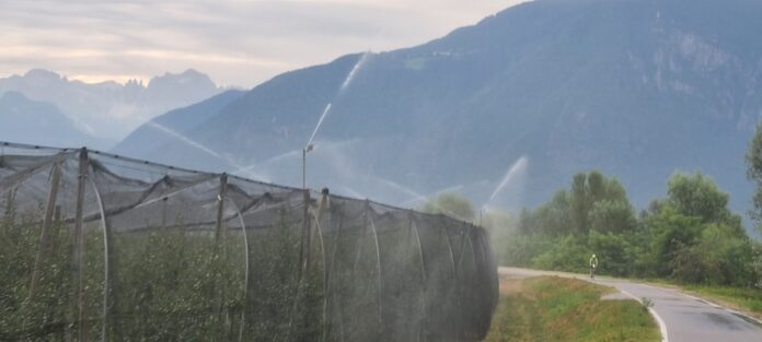 Foto divieto irrigazione Alto Adige