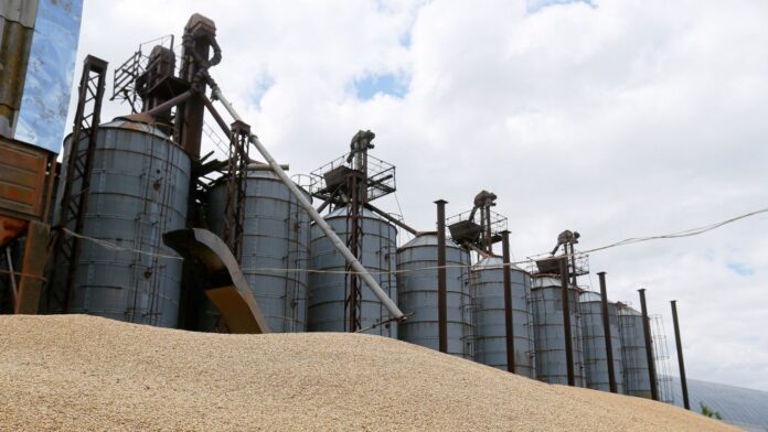 Mancato accordo sul grano tra Russia e Ucraina
